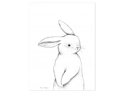 P0253 lapin face