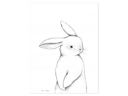 P0253 lapin face