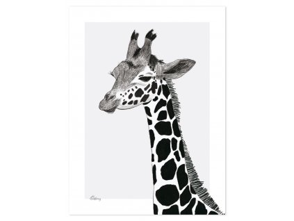 P0265 girafe