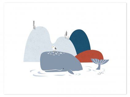 P0262 baleine