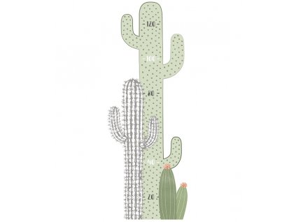 s1298 toi cactus (1)