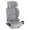 Joie i-Irvana™ Max quartz