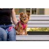 CURLI Vodítko pre psov Comfort Fuchsia M