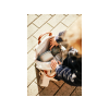 CWKIDSCOW 11