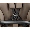 19555 8 veloce pinebark 5388 web