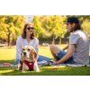 CURLI Postroj pre psov so sponou Air-Mesh Ruby M, 6-9 kg