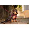 CURLI Postroj pre psov so sponou Air-Mesh Ruby S, 4-7 kg