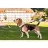 CURLI Vodítko pre psov Comfort Brown M