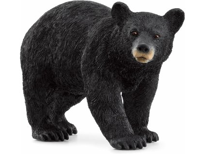 2d90cbf3a64aae3a40f57f3e8e4e20a9