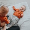 Zavinovačka zimná - sivomodré vtáčiky