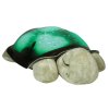 Cloud b® Twilight Turtle™- Nočné svetielko, Korytnačka, zelená, 0m+