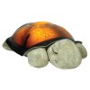 Cloud b® Twilight Turtle™- Nočné svetielko, Korytnačka, zelená, 0m+