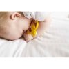 HRYZADLO A ZUBNÁ KEFKA MATCHSTICK MONKEY LUDO LION TEETHER – LEV
