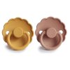 HoneyGold RoseGold 2PACK