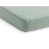 Napínacia plachta 120x60 cm 2 ks Ash Green