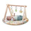 17448 ING PLAYGYM OW 27