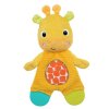BRIGHT STARTS Hračka - hryzačka Snuggle&Teethe