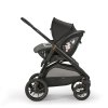APTICA XT darwin TAIGA LATERALE