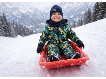 ChatGPT Image 31. 12. 2025 14 08 30