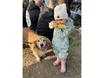 Softshellová parka srnečka