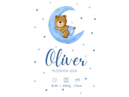 Plakát na zeď - medvěd