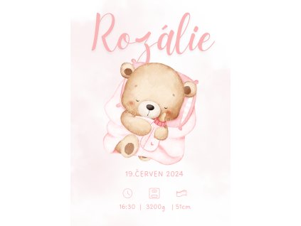 Plakát na zeď - meďošek