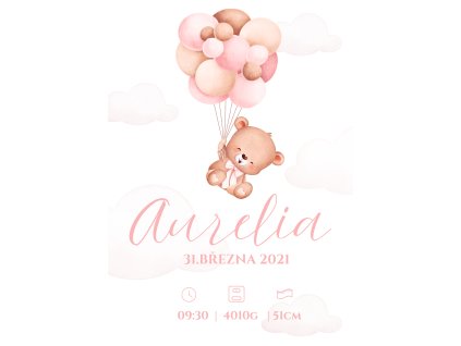 Plakát na zeď - méďa