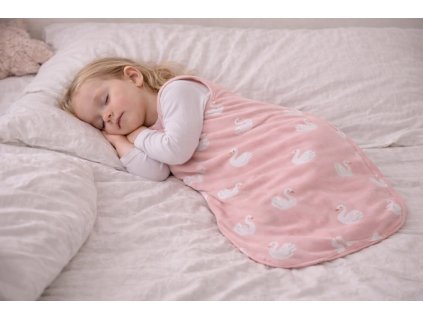 ChatGPT Image 27. 2. 2026 21 32 01