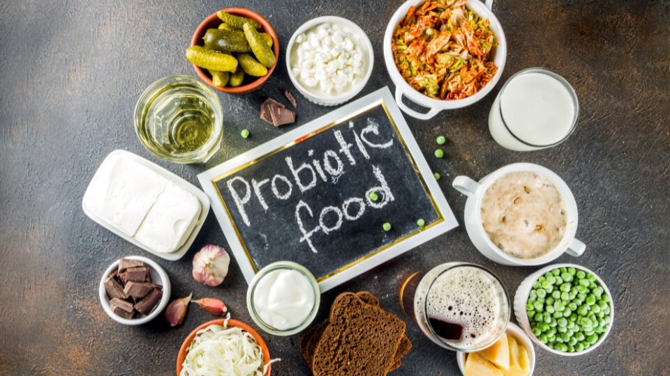 Prebiotika a probiotika