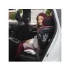 1286371 1 car seat besafe izi flex fix i size