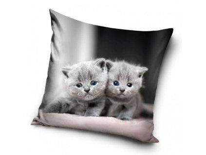 Povlak na polštářek Kočičí dvojčata (Varianta 40x40 cm)