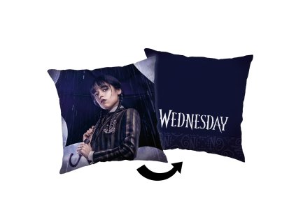 Povlak na polštářek Wednesday Rain (Varianta 40x40 cm)