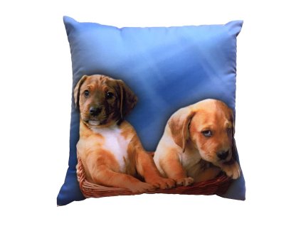 Fotopolstarek pro deti Dve stenata na modrem Dadka Vracov