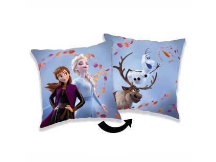 Polstarek Frozen2 Wind02