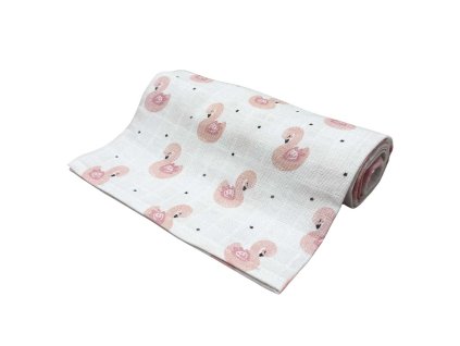 Latkova plena Ruzova labut Dadka Vracov