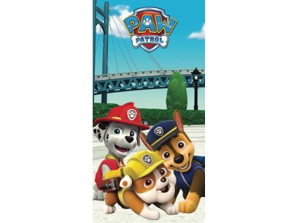 pawpatrol0601