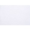 Froté prostěradlo č.1 bílá (Velikost 60x120)