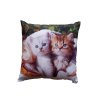 Fotopolštářek Bílé a hnědé kotě (Rozměr polštáře 40x40)