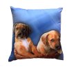 Fotopolštářek Dvě štěňata na modrém (Rozměr polštáře 40x40)