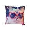 Fotopolštářek Kočka v brýlích (Rozměr polštáře 40x40)