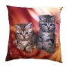 Fotopolštářek Koťata v ohni (Rozměr polštáře 40x40)