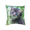Fotopolštářek Kotě na louce (Rozměr polštáře 40x40)