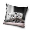 Povlak na polštářek Kočičí dvojčata (Varianta 40x40 cm)