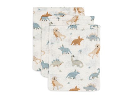 536 848 67100 uncompressed