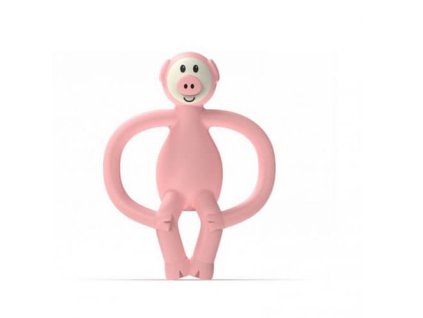 Matchstick Monkey Pig Teether hryzátko a zubná kefka