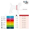 CURLI Postroj pre psov so sponou Air-Mesh Lime XS, 3-5 kg