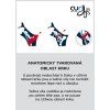 CURLI Postroj pre psov so sponou Air-Mesh Lime XS, 3-5 kg