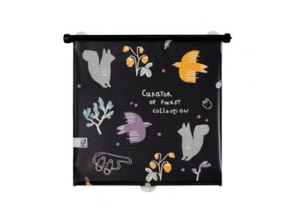 d7096759ec7000739802776761099b9b 800 0