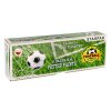 FARBY PLAK 12KOL 20ML FOOTBALL STK FOL 6/24