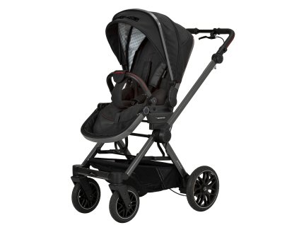 2414 259 620 amg gt ansicht schrag